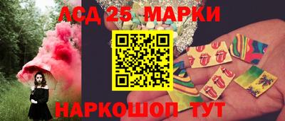 стаф Сланцы