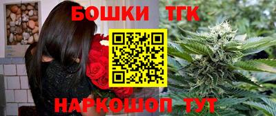 стаф Сланцы