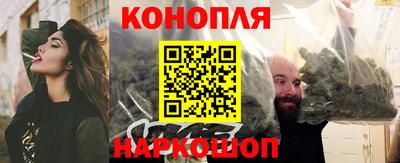 стаф Сланцы