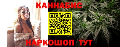 стаф Сланцы