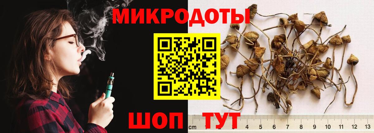Псилоцибиновые грибы Psilocybe  Вход с VPN  Мыски 